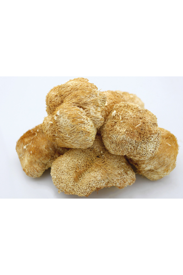 Dried Lions Mane Mushroom (Powder)